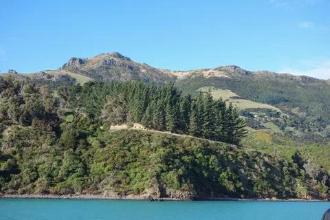 View of Akaroa Stock-Fotos