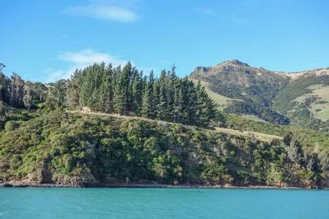 View of Akaroa Foto stock