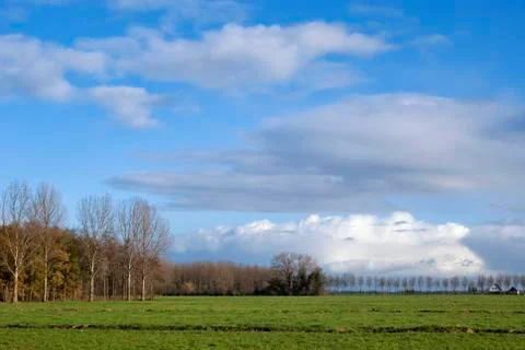 View from the Alblasserbos Stock Photos