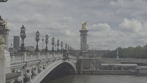 View of the Alexander III Bridge, cloudy sky, many people. Paris Stock Footage 91095535