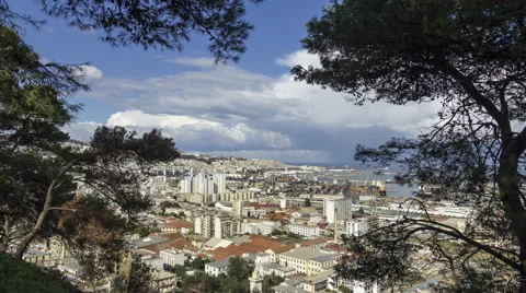 A view of Algiers city between trees in 4k timelapse Stock Footage 50956501