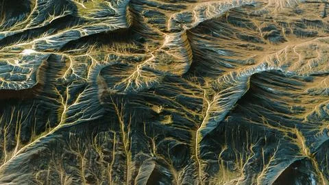 View of the alien planet landscape Stock Illustration