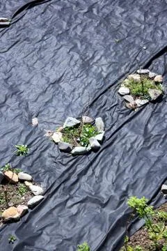 View on allotment Stock Photos