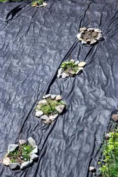 View on allotment Stock Photos