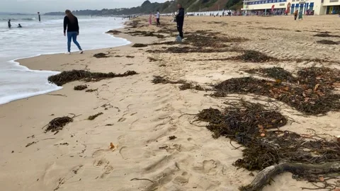 A view along the beach at Bournemouth in Dorset, UK on an autumn day. Stock Footage 220802999
