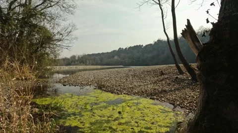 View along the course of the Ticino river in the natural park Stock Footage 310677484