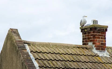 A View Along House Rooftops Seen From The Roof Level Stock Photos