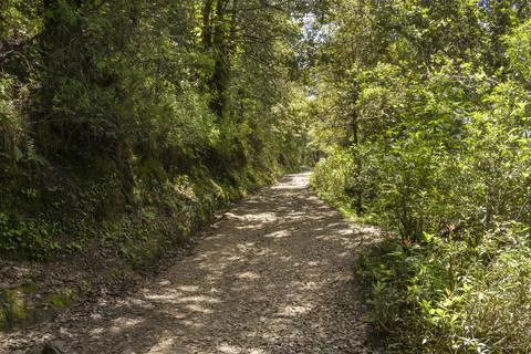 View along path to tigers nest Stock Photos