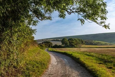 A view along a pathway in the South Downs in Sussex, with farmland alongside Foto stock