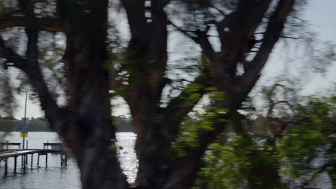 View along river through leafy foreground. Rowers, moored boats, jetty on water. Stock Footage 144961633