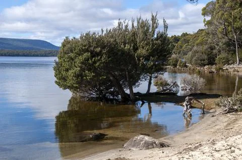 View along waters edge with reflections on lake Stock Photos