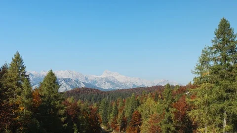 View of alpine autumn forest and mountain rocks range. 4K Footage. Stock Footage 119830909