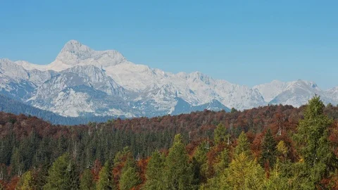 View of alpine autumn forest and mountain rocks range. 4K Footage. Stock Footage 119831323