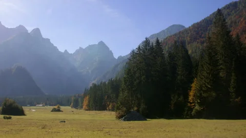View of alpine meadow with mountain backdrop Stock Footage 258929567