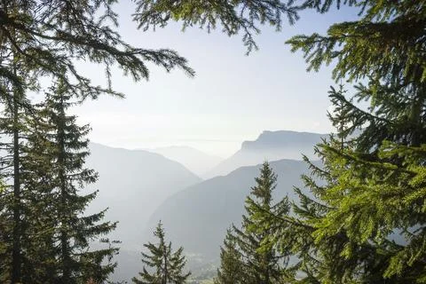 View of Alpine mountains framed by trees, Haute-Savoie, France Foto stock