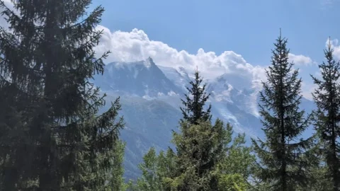 View of Alps and pine trees from Grand Balcon Sur in Chamonix Video stock 342448715