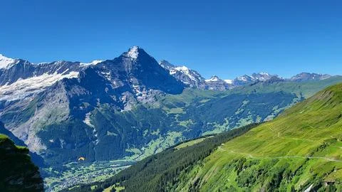 View of the Alps from First mountain Stock Photos