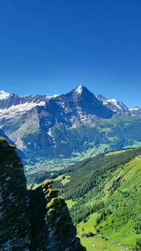 View of the Alps from First mountain Stock Photos