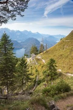 View of the Alpsee Stock Photos