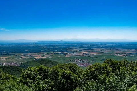 View of Alsace plain in summertime Stock Photos