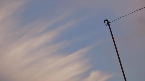 View of amazing blue sky Vídeo Stock 111230443