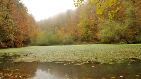 The View is Amazing Stock Footage 43319548