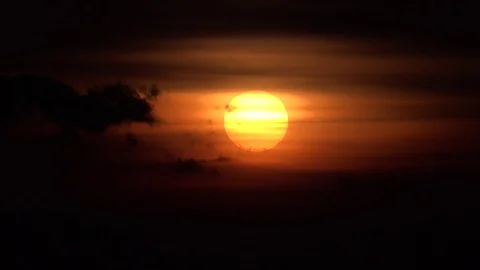 View of amazing sunset orange light effect sun silhouette go down at twilight Stock Footage 81971813