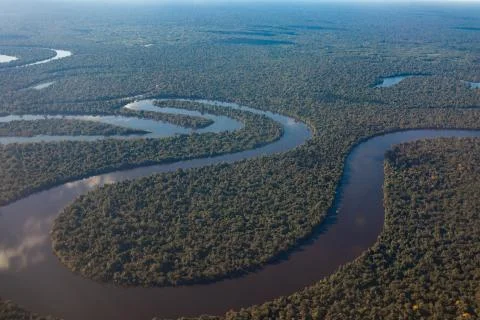 View of the Amazon River from an airplane, dense tropical forest, reflection in Stock Photos