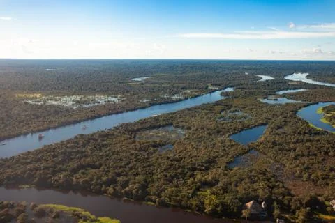 View of the Amazon River, rainforest and swamps, travel concept. Stock Photos