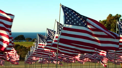 View on American USA flags. Concept of 4th of July Stock Footage 265952140