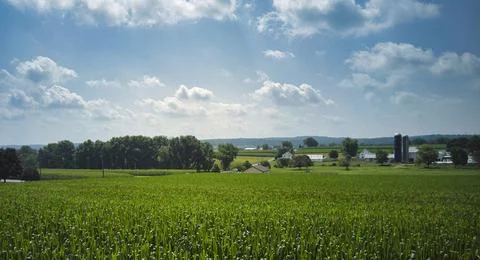 View of Amish Countryside with Corn fields Foto stock