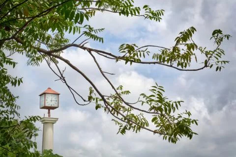 View of Analog Clock Tower Through Tree Branches Against Cloudy Sky Foto stock