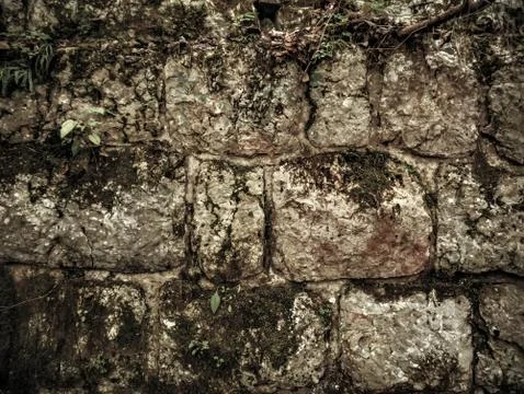 View on an ancient brick wall Stock Photos
