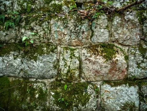 View on an ancient brick wall Stock Photos