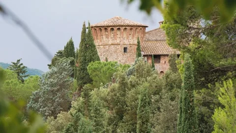 View of an Ancient Castle With a Tower Hidden Behind Trees Stock Footage 245430755