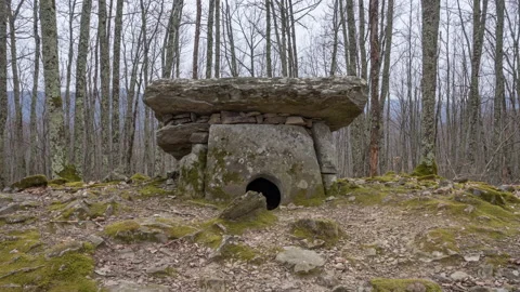 View of Ancient Dolmen in the forest. Stock Footage 142929951