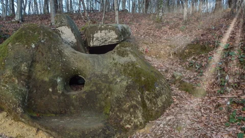 View of Ancient Dolmen in the forest illuminated by back sunlight. Stock Footage 142441959