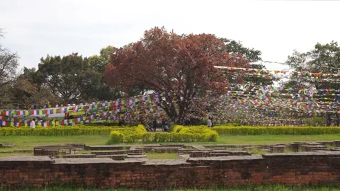 View of ancient ruins and prayer flags in Lumbini, Nepal. Video stock 335469407