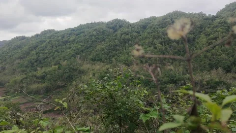 View of the ancient Solo River from a height Stock Footage 218864900