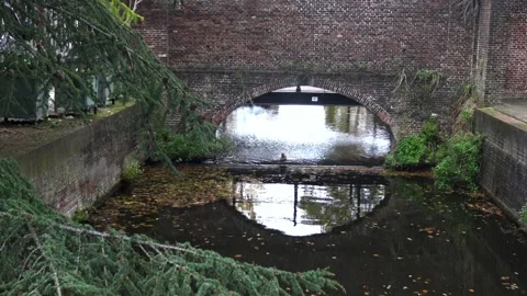 View of an ancient stone bridge with a small river Vídeos de archivo 329558035