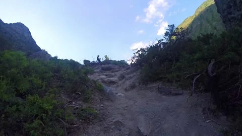 View and scene of a beautiful forest and mountain landscape Stock-Footage 129714400