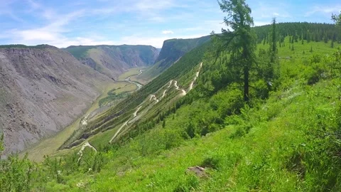 View and scene of a beautiful forest and mountain landscape Stock-Footage 129714429