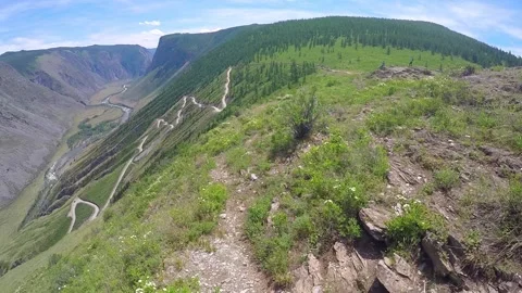 View and scene of a beautiful forest and mountain landscape Stock-Footage 129714447