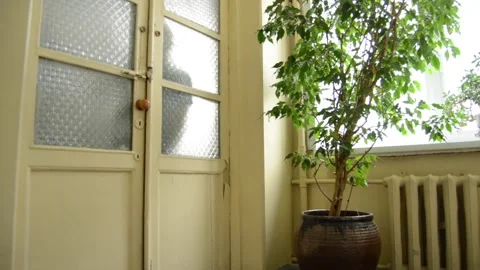 A view and a scene of a man entering or leaving Stock-Footage 129733188