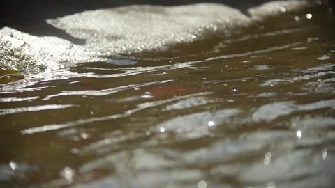 View and scene of sparrows that bathe and spray 動画素材 129713579