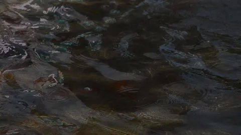 View and scene on the texture of the water surface, glare Video stock 129707812