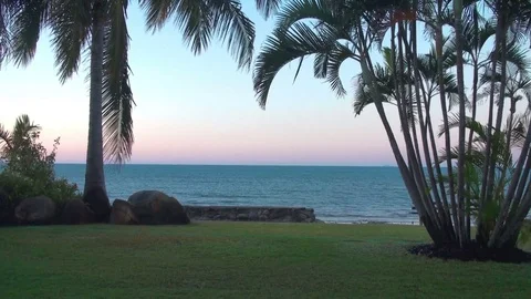 View on and through Palms at the pacific Coast in Queensland, Australia Stock Footage 73924131