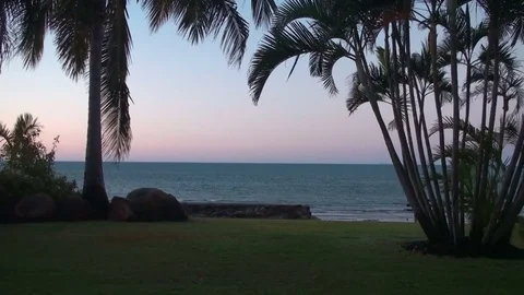View on and through Palms at the pacific Coast in Queensland, Australia Stock Footage 73926043