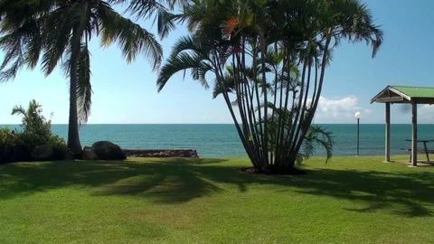 View on and through Palms at the pacific Coast in Queensland, Australia Stock Footage 73927559