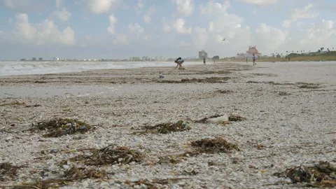 View angle view looking north in the early morning sun over the green foreground Stock Footage 281962549